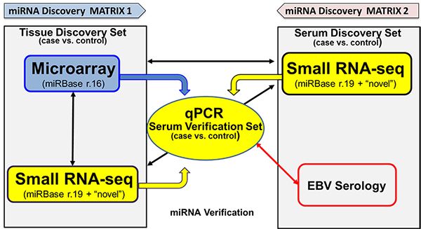 miRNA Discovery Matrix 1 Tissue Discovery Set Microarray Small RNA-seq Serum Discovery Set 2 EBV Seology